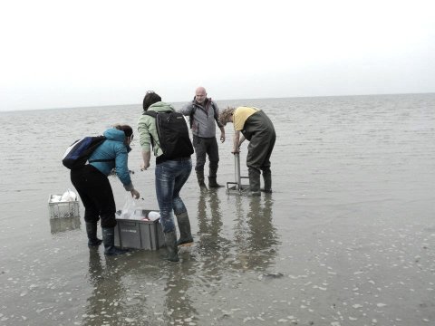 Onderzoek op locatie