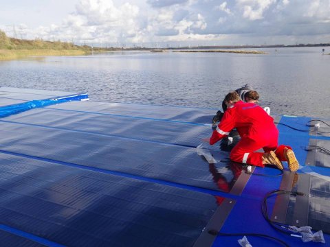 NOS nieuws fieldlab westvoorne Oostvoornse meer