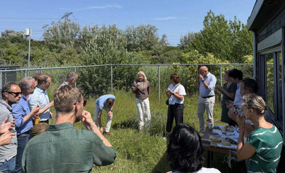 Zomerlunch Fieldlab